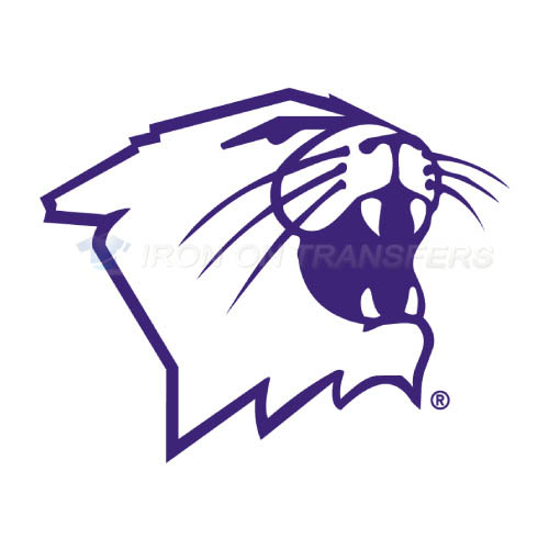 Northwestern Wildcats Logo T-shirts Iron On Transfers N5705 - Click Image to Close